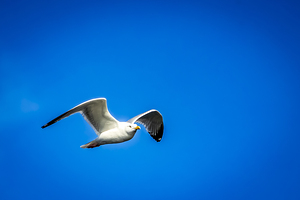 Store Alaska5L3A7673