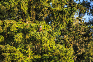 Store Alaska5L3A7987