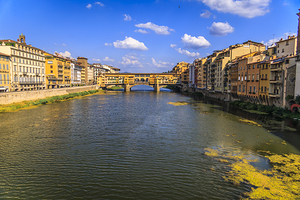 Store Florence 5L3A4931