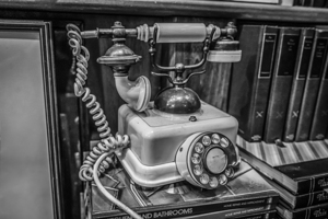 Store Florida 5L3A0384