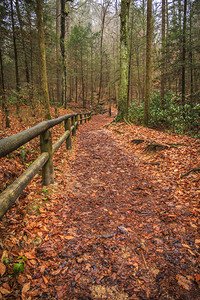 Store Georgia 5L3A5708