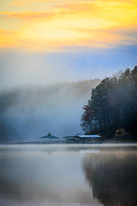 Store Georgia 5L3A9746