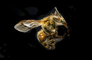 Store Macro 5L3A2775