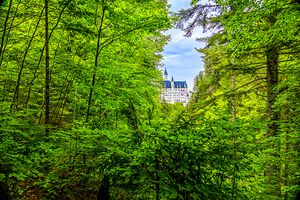 Store Munich  5L3A4085 Edit