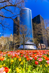 Store New York 5L3A0337