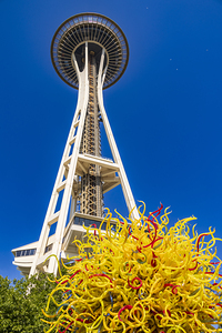 Store Seattle 5L3A7143