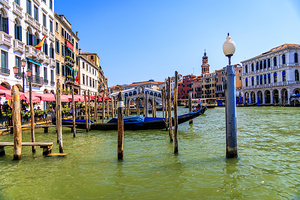 Store Venice 5L3A4535