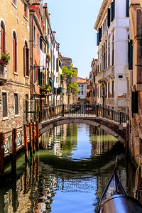 Store Venice 5L3A4665