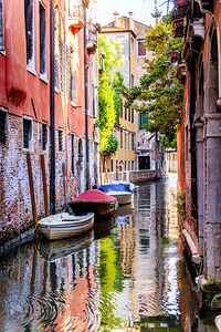 Store Venice 5L3A4755