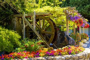 Store Victoria 5L3A8494