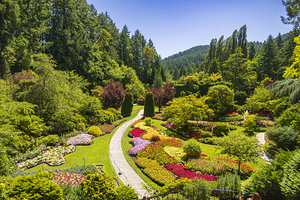 Store Victoria 5L3A8505