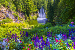 Store Victoria 5L3A8550