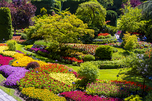 Store Victoria 5L3A8632