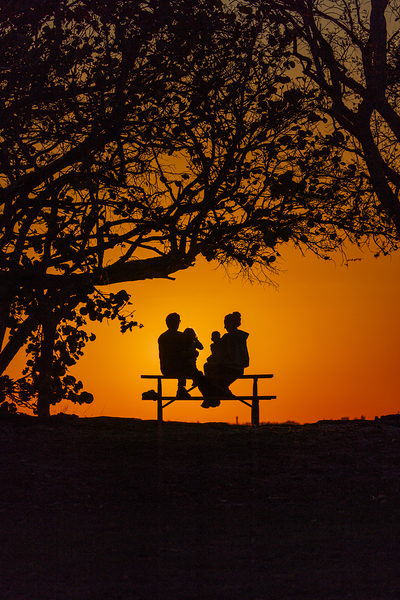 Vista View MG 7315 Print