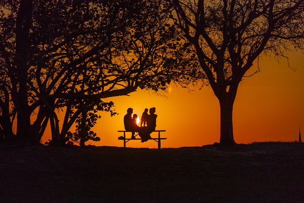 Vista View MG 7317 Print