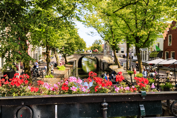 HollandAE2A9823 Print