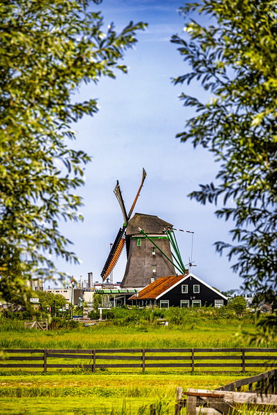 Holland E2A0159 Print