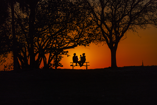 Vista View MG 7321 Print