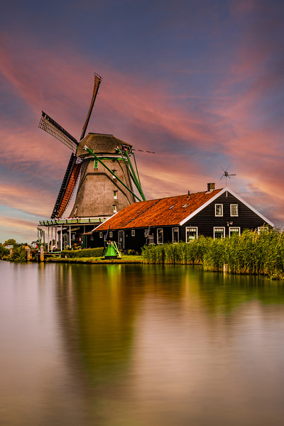 Holland E2A0220 Print