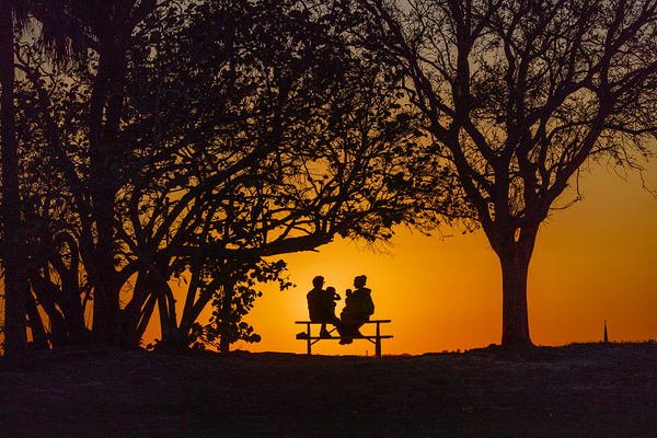 Vista View MG 7313 Print