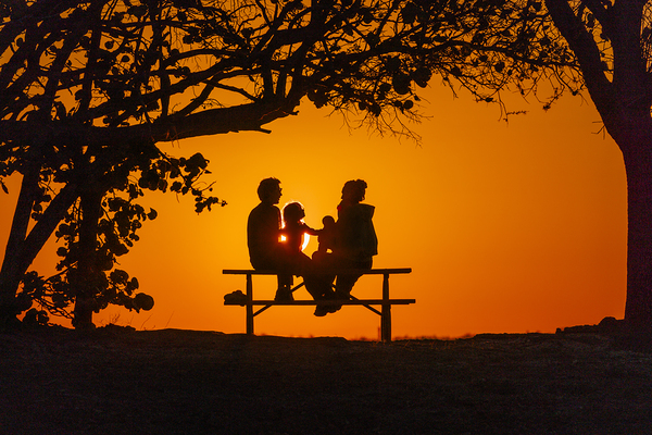 Vista View MG 7320 Print