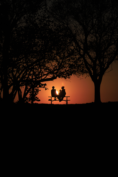 Vista View MG 7322 Print