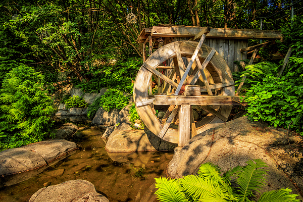 Store Vancouver 5L3A6951 Print