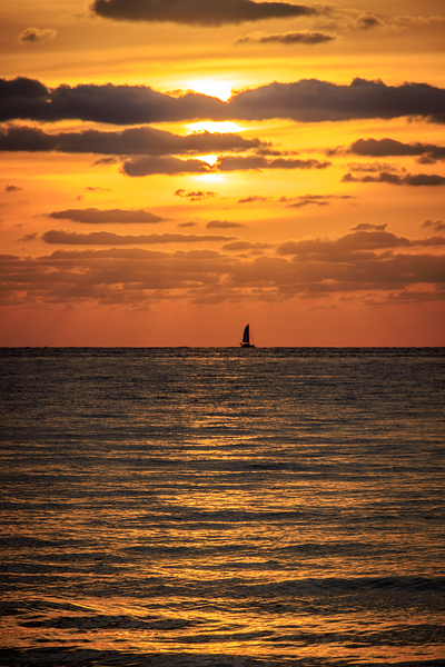 Store Dania Beach AE2A8665 Print