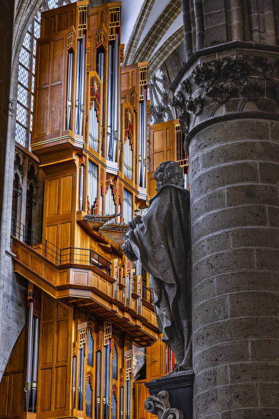 Belgium E2A8798 Print