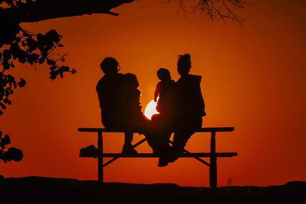 Vista View MG 7324 Print