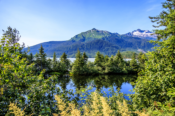 Store Alaska5L3A7515 Print