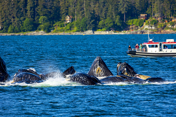 Store Alaska5L3A7546 Print