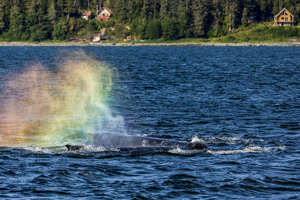 Store Alaska5L3A7628 Print