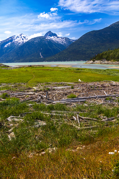 Store Alaska5L3A8128 Print