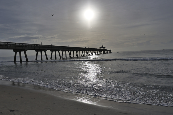 Store Florida 5L3A6591 Print