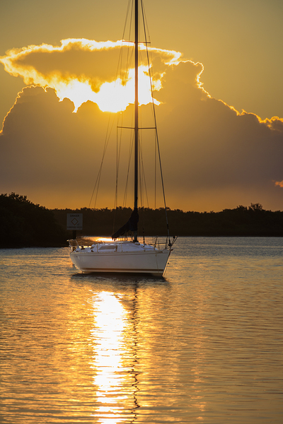 Store Florida 5L3A9278 Print