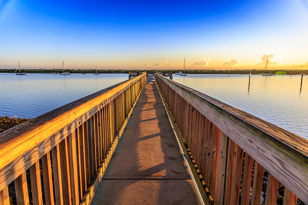 Store Florida 5L3A9287 Print