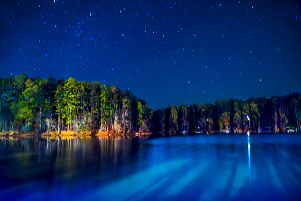 Store Georgia DSC 0711 Print