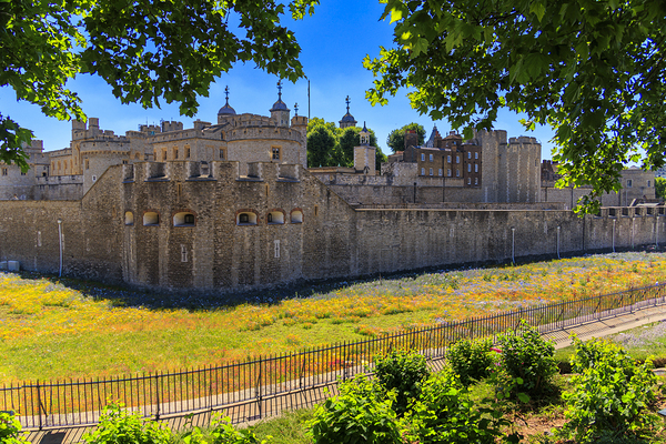 Store London 5L3A1276 Print