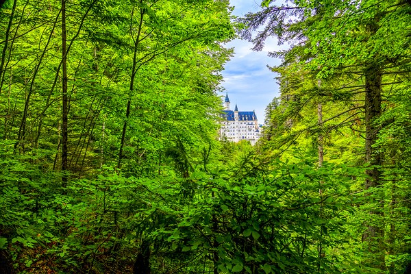 Store Munich  5L3A4085 Edit Print