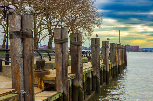 Store New York DSC 3979 Print