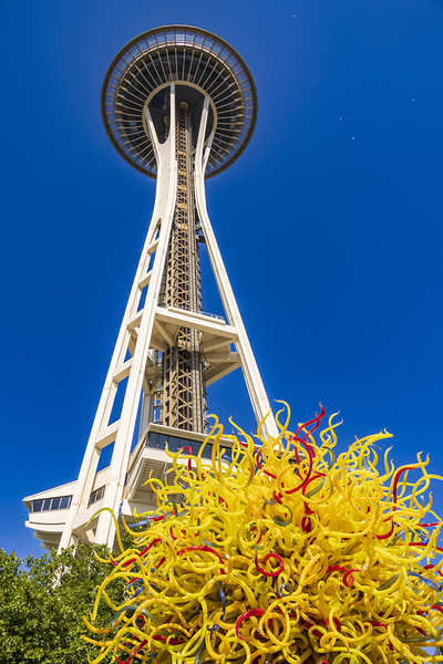 Store Seattle 5L3A7143 Print