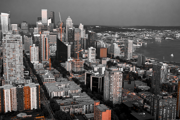 Store Seattle 5L3A7223 Print