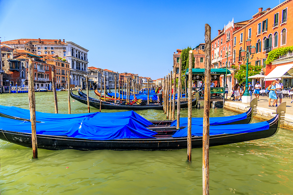 Store Venice 5L3A4531 Edit Edit Print