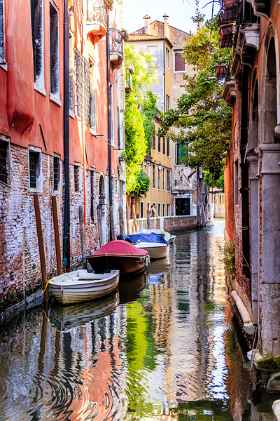 Store Venice 5L3A4755 Print