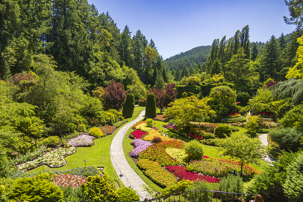 Store Victoria 5L3A8505 Print