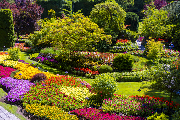 Store Victoria 5L3A8632 Print