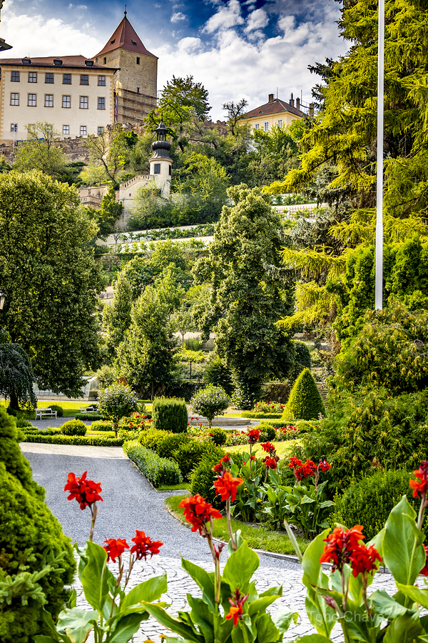 Store Prague 5L3A3775  Print