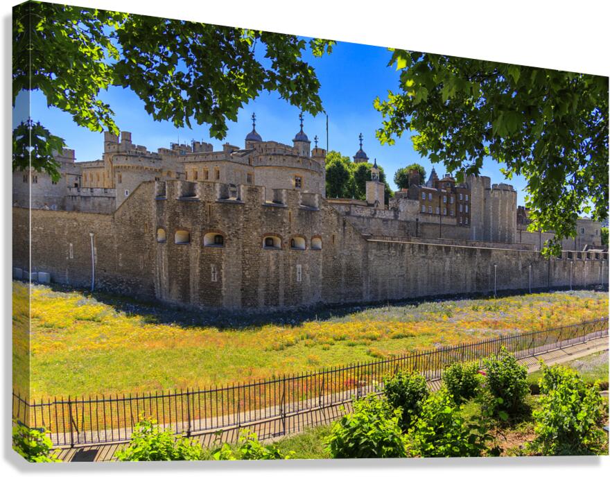 Store London 5L3A1276 Canvas Print