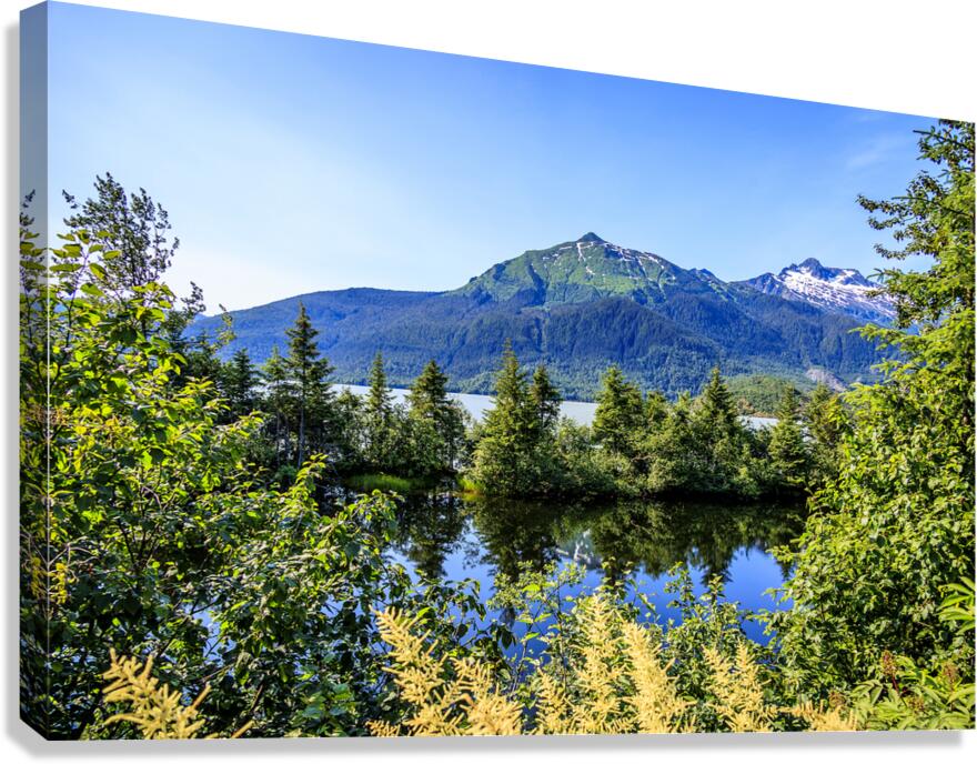 Store Alaska5L3A7515 Canvas Print